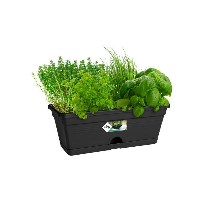 green basics trough mini 30cm living black